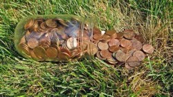 Pennies for Plants