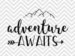 New adventures